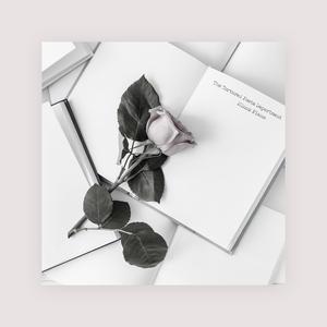 最新Av中文字幕无码专区
